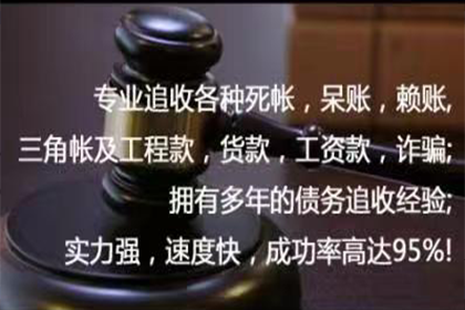 绵阳催数公司